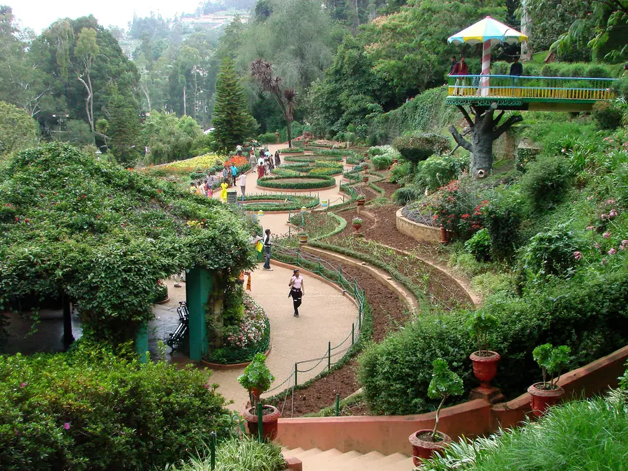 Terraced lawns of the Government Botanical Garden, Ooty